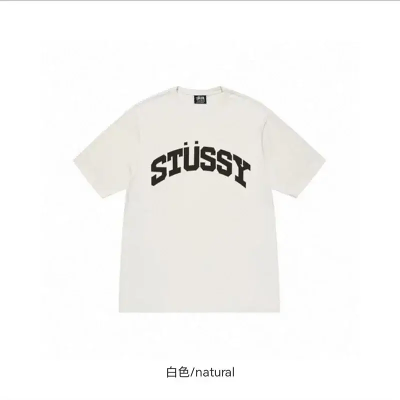 Stussy T-shirt 2